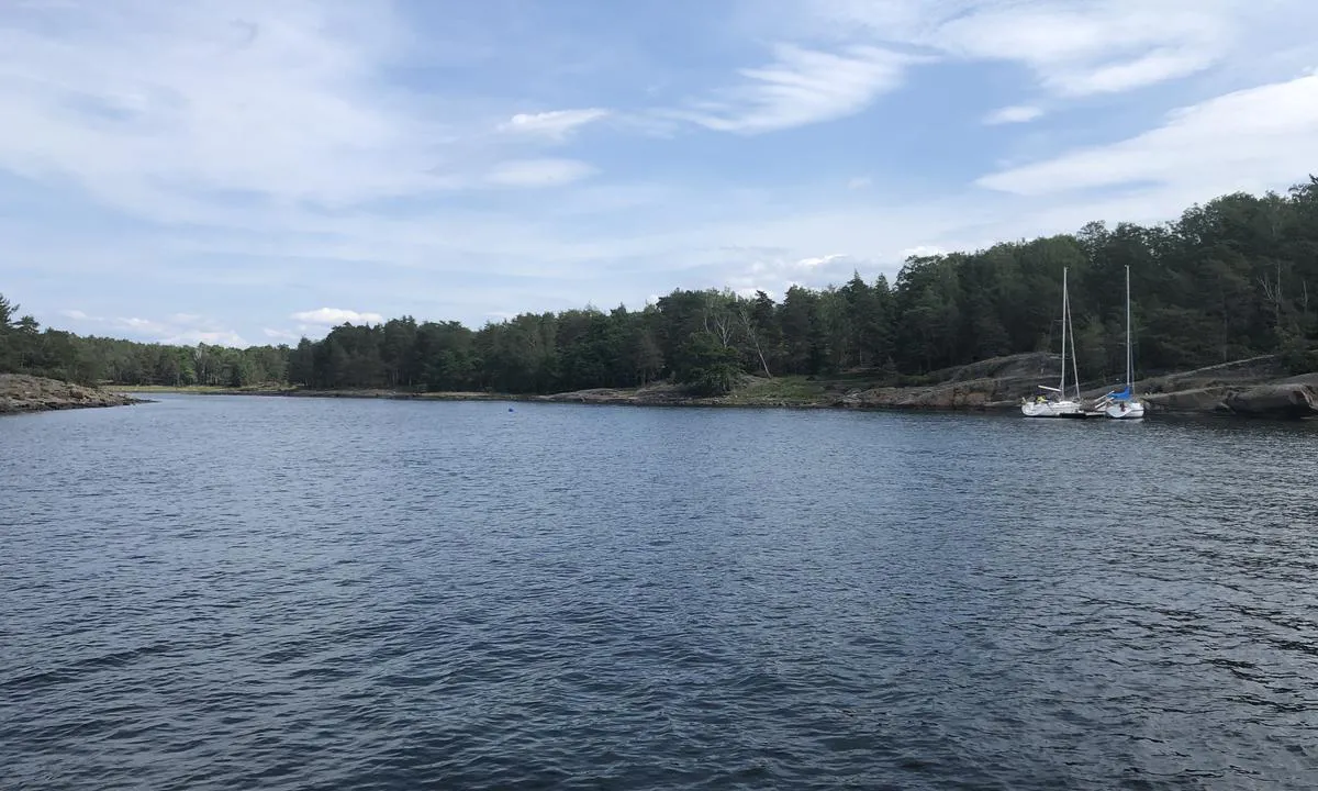 Søndre Årøy: {"base": "no", "no": "Her ser vi nordover, inn i bukta p\u00e5 sydsiden av S\u00f8ndre \u00c5r\u00f8y. Flytebrygge til h\u00f8yre, svaib\u00f8ye inn i bukta og finee ankringsmuligheter.", "se": "H\u00e4r ser vi norrut, in i bukten p\u00e5 sydsidan av S\u00f6dra \u00c5r\u00f6. Flytbrygga till h\u00f6ger, svajboj in i bukten och fina ankringsm\u00f6jligheter.", "en": "Here we see northward, into the bay on the south side of S\u00f8ndre \u00c5r\u00f8y. Floating pier to the right, swing buoy into the bay, and excellent anchoring opportunities.", "da": "Her ser vi nordover, ind i bugten p\u00e5 sydsiden af S\u00f8ndre \u00c5r\u00f8y. Flydebro til h\u00f8jre, svajb\u00f8je ind i bugten og gode ankringsmuligheder."}