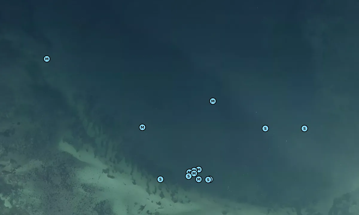 Satelite image of Assens Sejlklub bouy