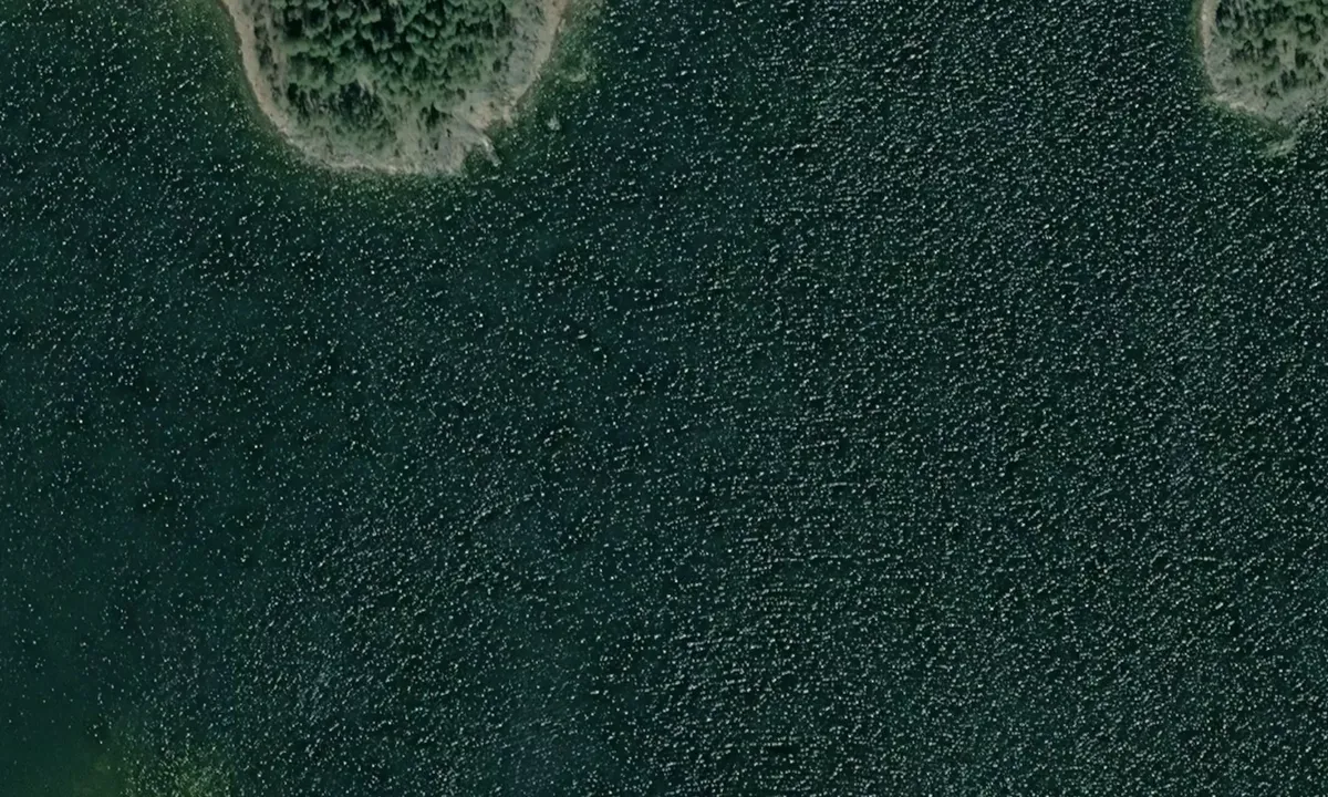 Flyfoto av Åsundaö - Södra Boviken
