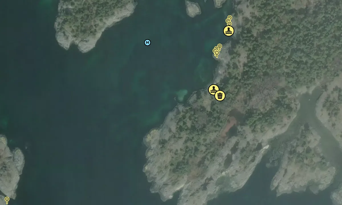 Satelite image of Auesøya - Breivig