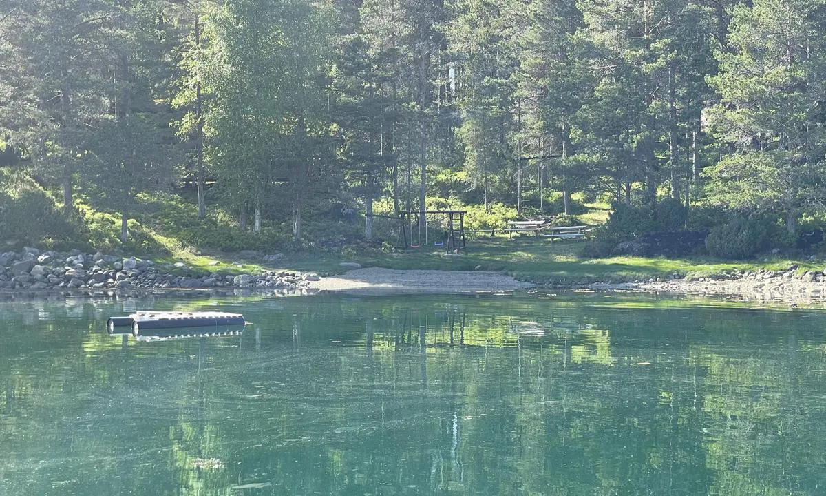 Baarsetøya: {"base": "no", "no": "Strand og disser/lekeapparat for \u00e5 aktivere barna.", "se": "Strand och gungor/lekst\u00e4llningar f\u00f6r att aktivera barnen.", "en": "Beach and swings/play equipment to keep the children entertained.", "da": "Strand og gynger/legeapparater til at aktivere b\u00f8rnene."}
