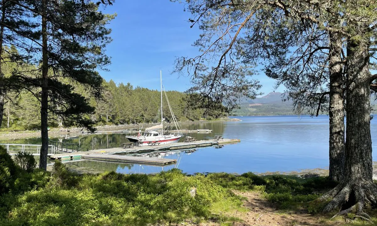 Baarsetøya: {"base": "no", "no": "Idyllisk omr\u00e5de med skog, benker og stier.", "se": "Idylliskt omr\u00e5de med skog, b\u00e4nkar och stigar.", "en": "Idyllic area with forest, benches and paths.", "da": "Idyllisk omr\u00e5de med skov, b\u00e6nke og stier."}