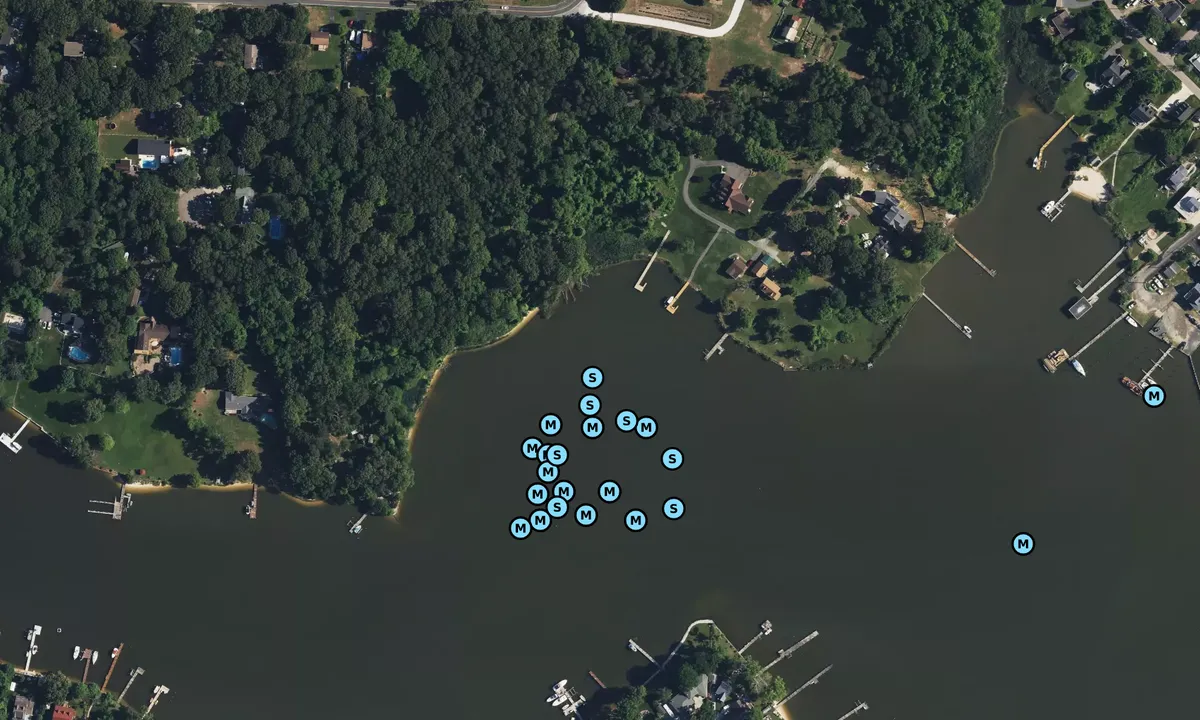 Satelite image of Back Creek 1