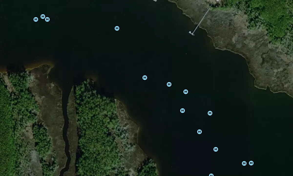 Satelite image of Back Creek - Merrimon