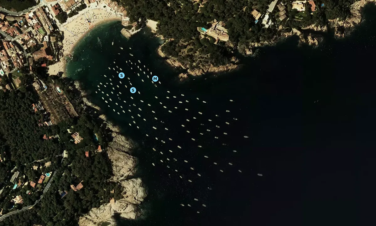 Satelite image of Badia de Tamariu