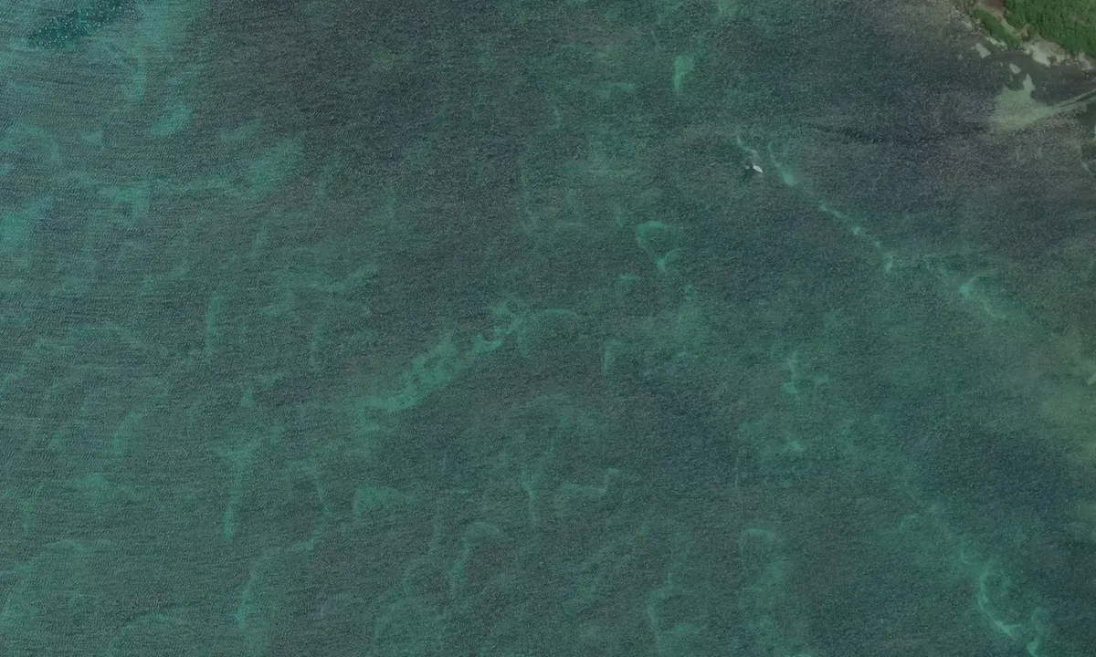 Satelite image of Bahia de Cadiz