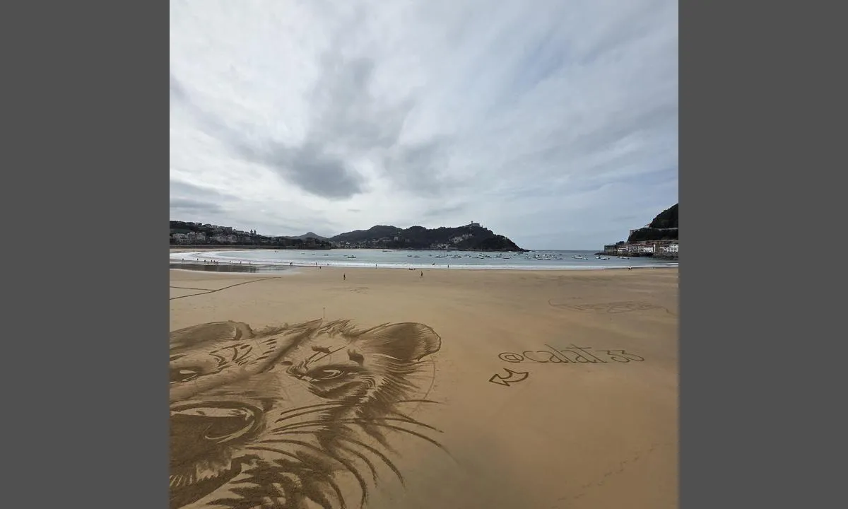 Bahía de la Concha