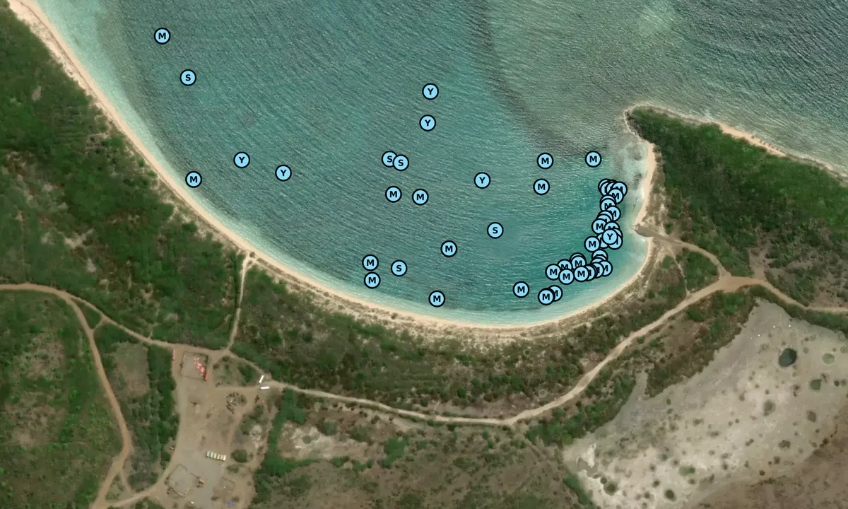 Satelite image of Bahia Icacos - Puerto Diablo