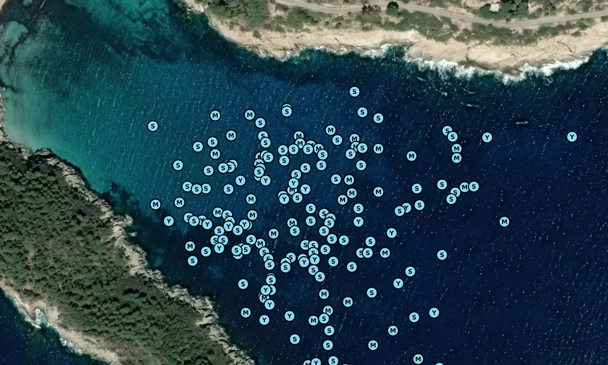 Satelite image of Baia di Fetovaia