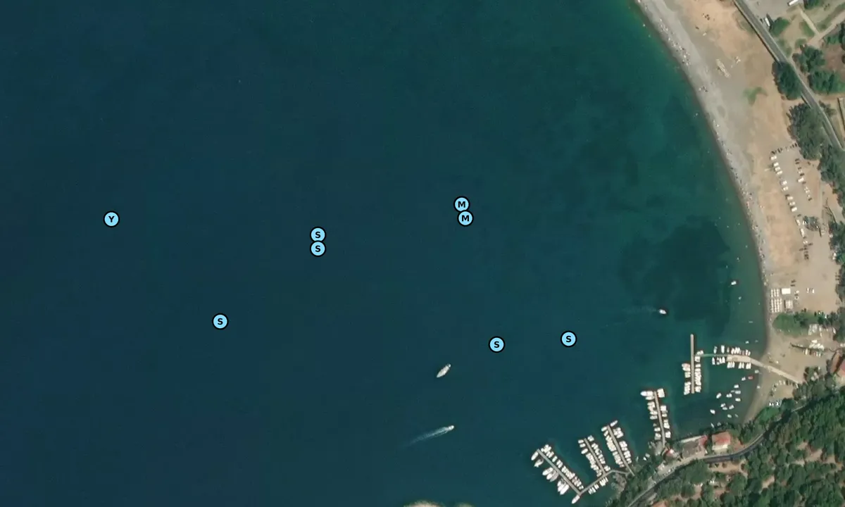 Satelite image of Baia di Sapri