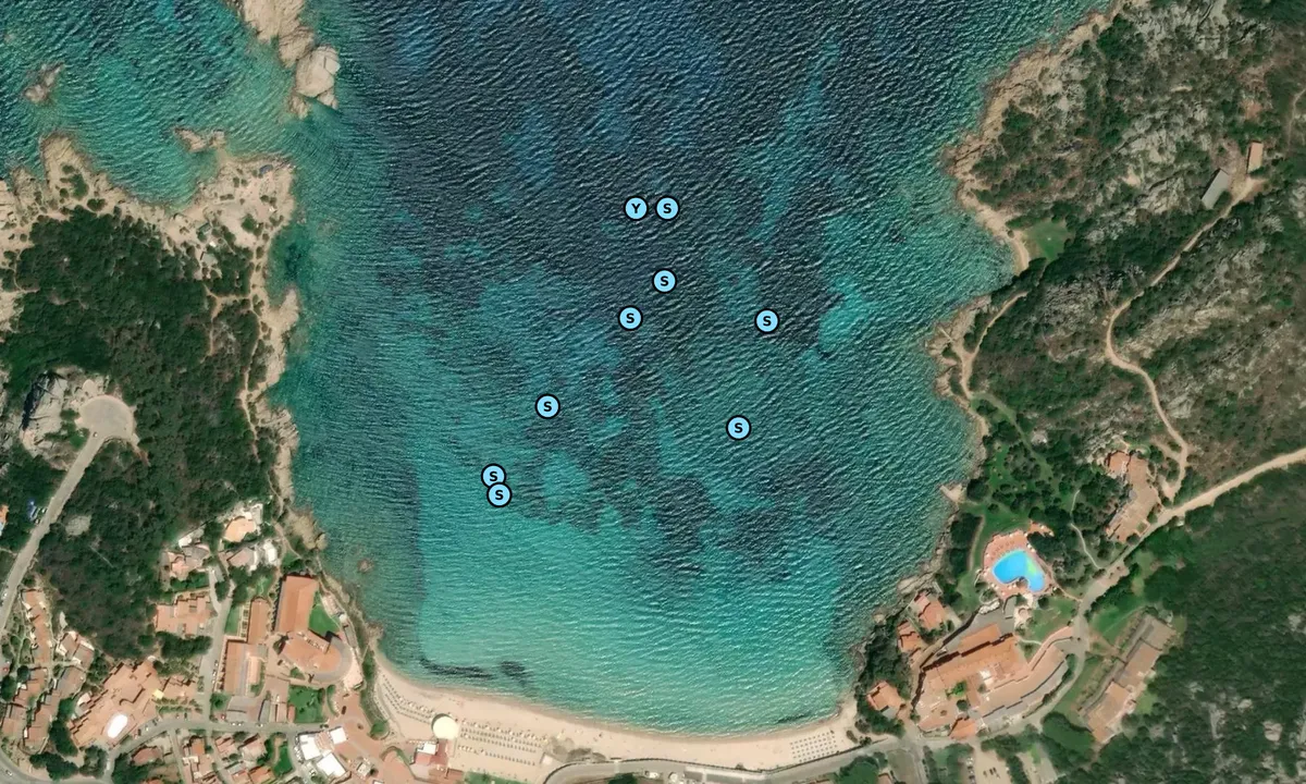 Satelite image of Baia Sardinia