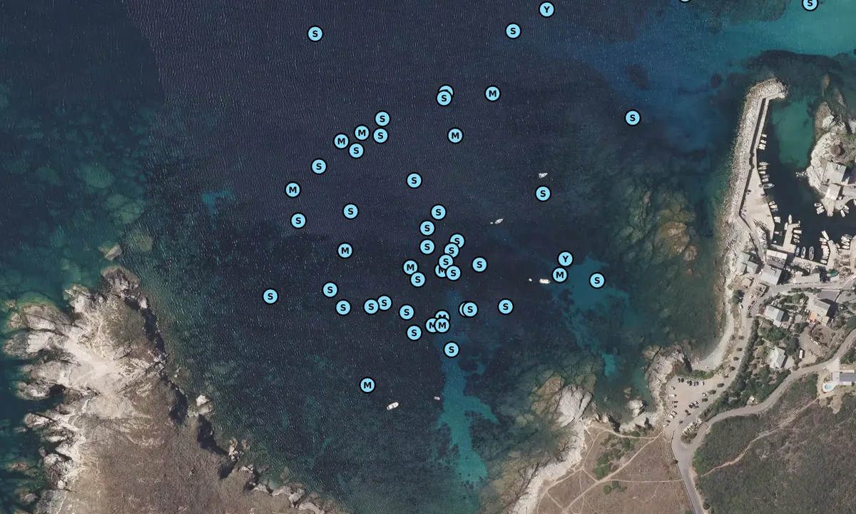 Satelite image of Baie de Centuri