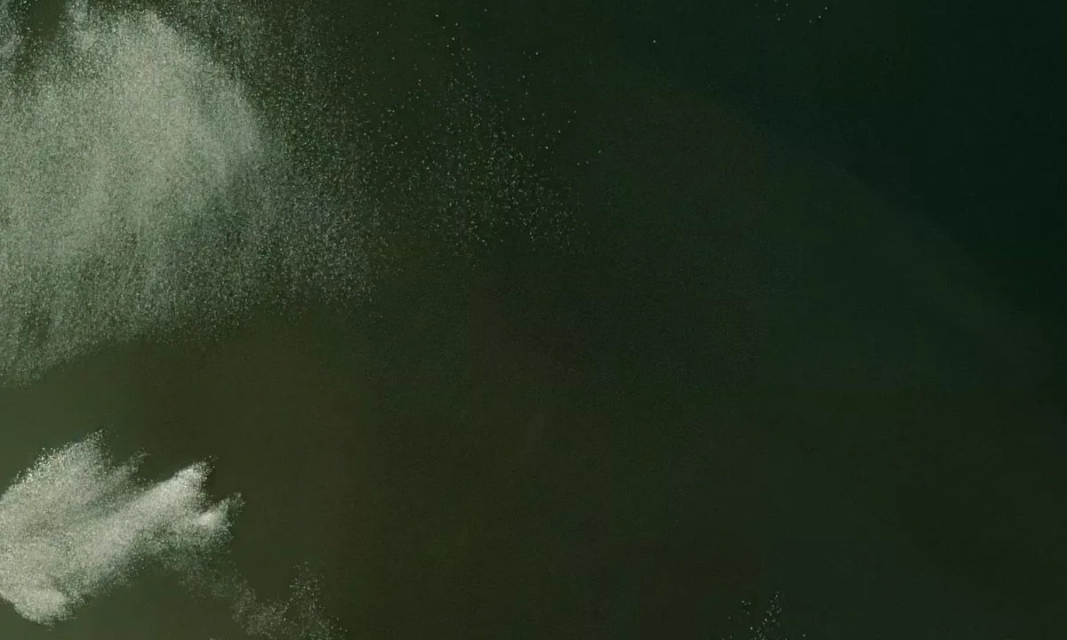 Satelite image of Baie De Choisy