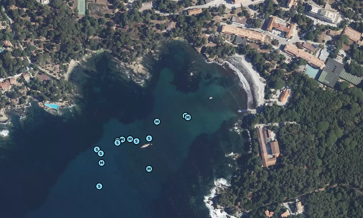 Satelite image of Baie du Niel Est