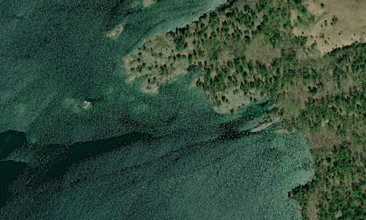 Flyfoto av Baie Fine East 2