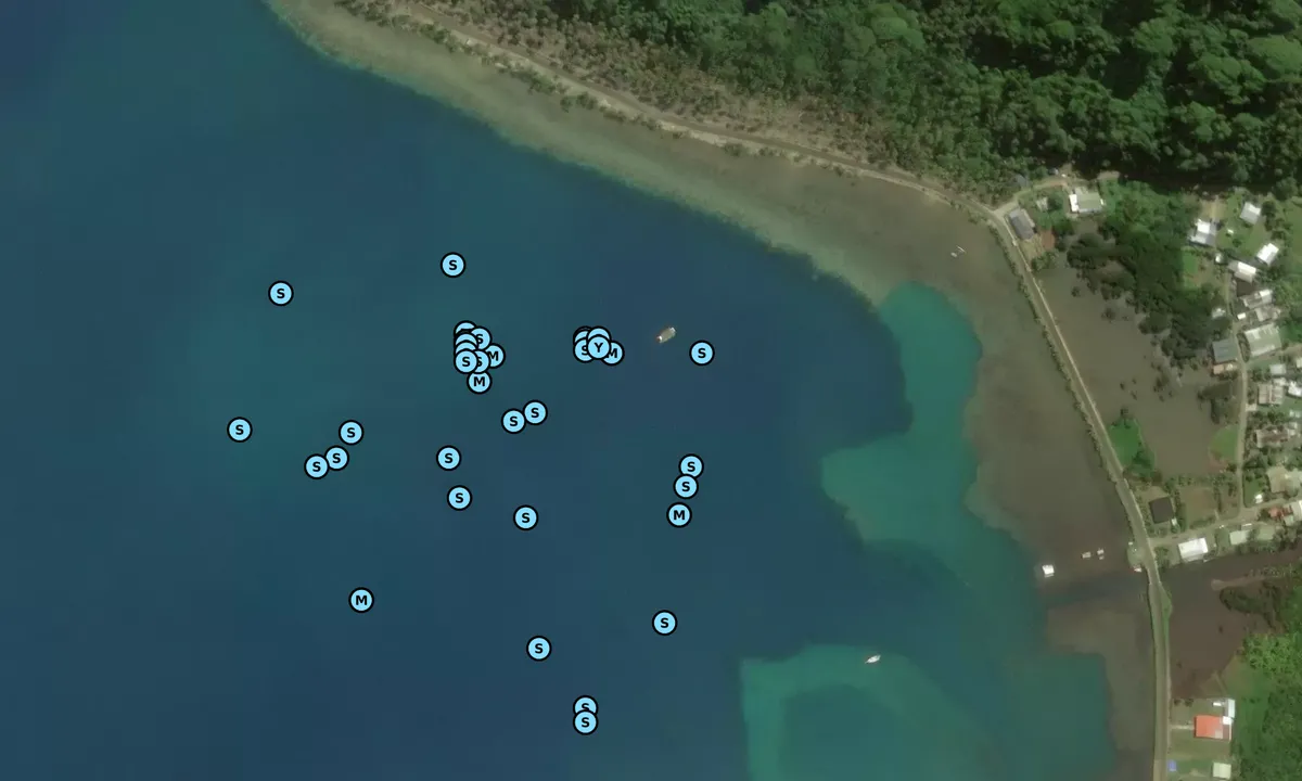 Satelite image of Baie Tapuamu (moorings)