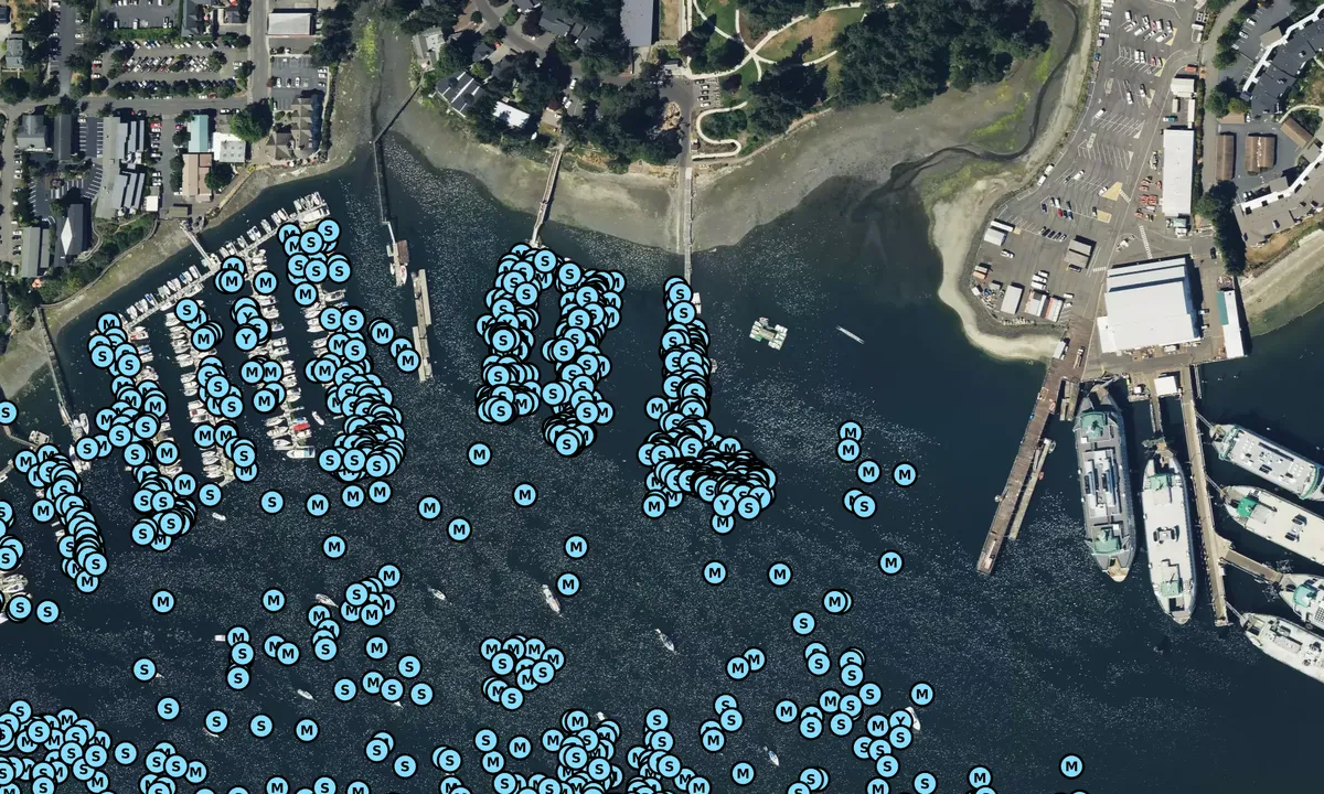 Satelite image of Bainbridge Island City Dock