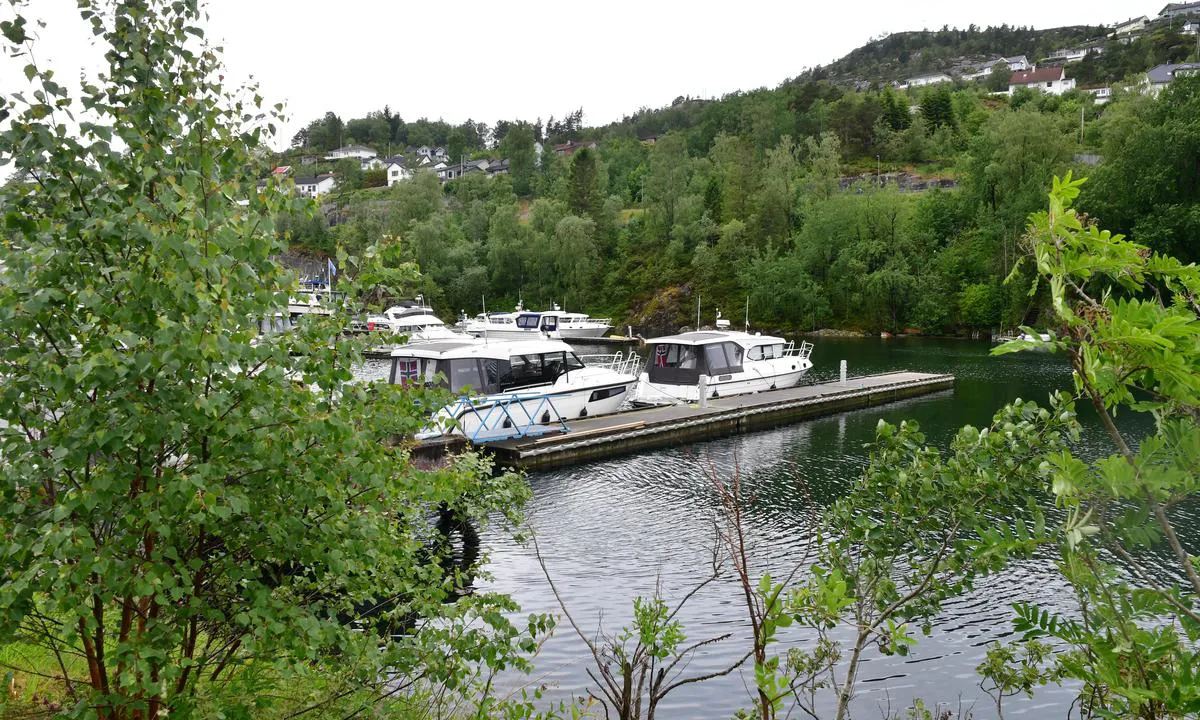 Bakarvågen: {"base": "no", "no": "Servicebrygga til Viknes B\u00e5t og Motor AS", "se": "Servicebryggan till Viknes B\u00e5t og Motor AS", "en": "The service dock of Viknes B\u00e5t og Motor AS", "da": "Servicebroen til Viknes B\u00e5d og Motor AS"}