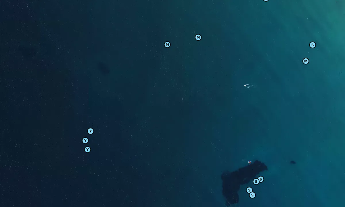 Satelite image of Ballermann