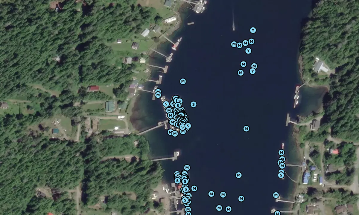 Satelite image of Bamfield Harbour Authority