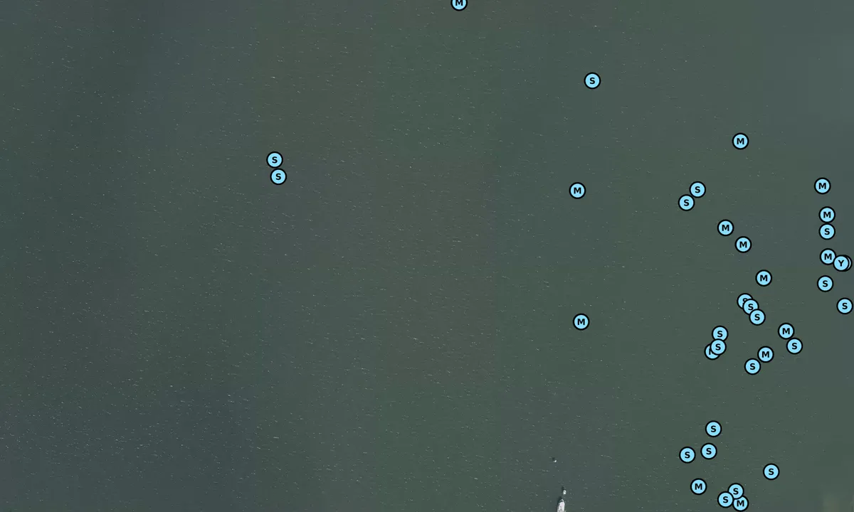 Satelite image of Banana River/ Canaveral