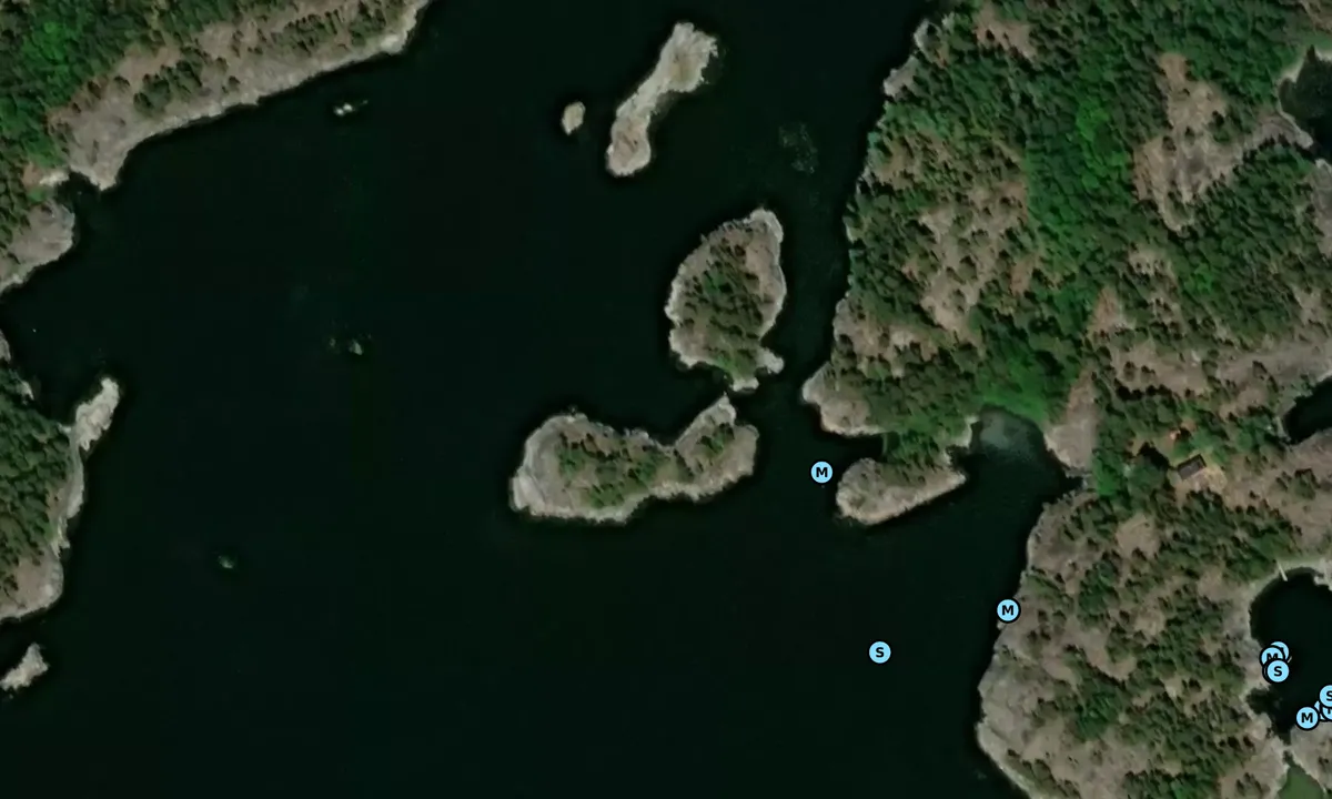 Satelite image of Bananis