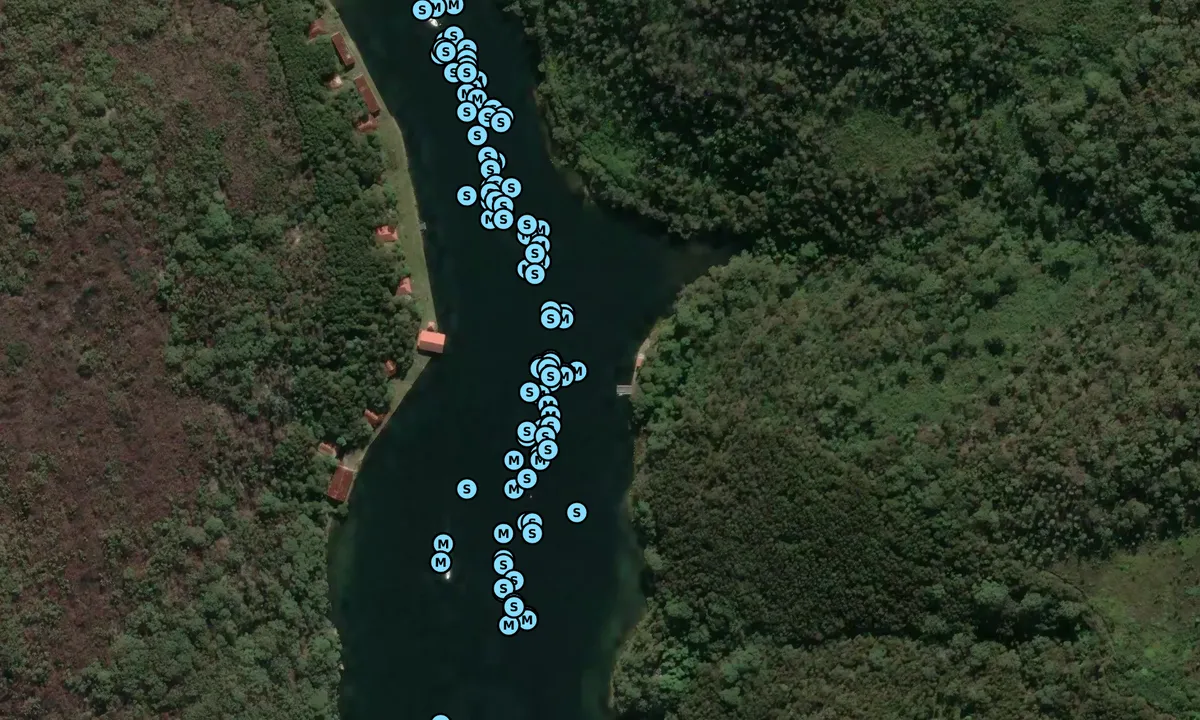 Satelite image of Bantry Bay (moorings)