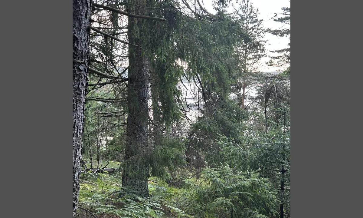 Bårholmen: {"base": "no", "no": "B\u00e5rholmen", "se": "B\u00e5rholmen", "en": "B\u00e5rholmen", "da": "B\u00e5rholmen"}