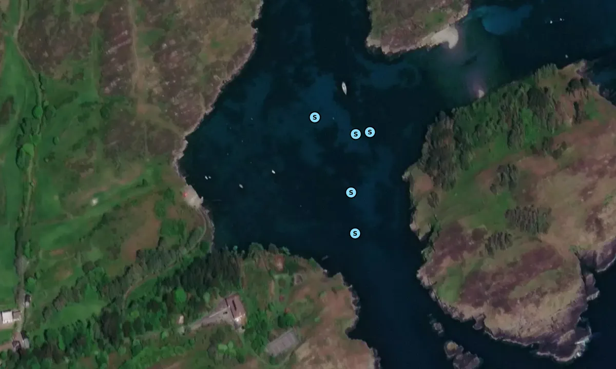 Satelite image of Barlogue Harbour. Lough Hyne 
