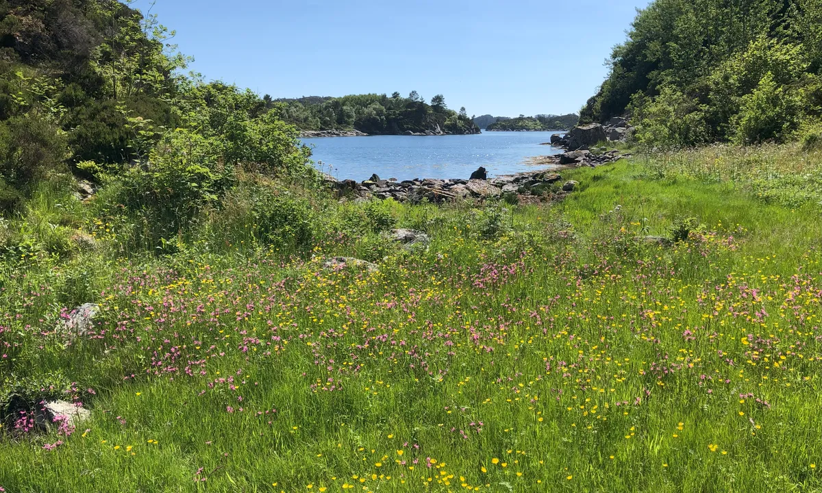 {"base": "no", "no": "Sommer p\u00e5 Barmane", "se": "Sommar p\u00e5 Barmane", "en": "Summer at Barmane", "da": "Sommer p\u00e5 Barmane"}