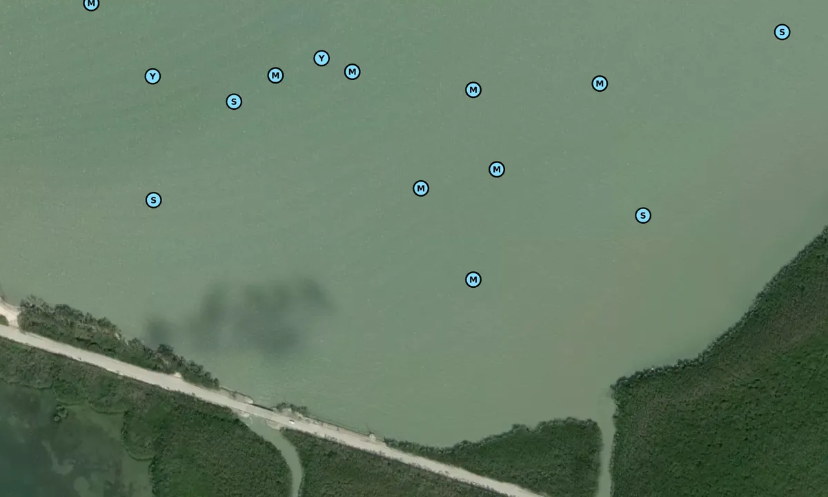 Satelite image of Barnes Point North
