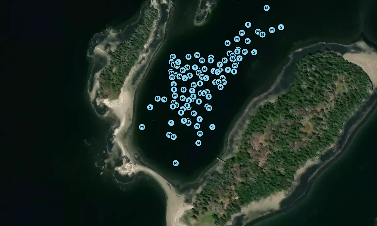 Satelite image of Barred Islands (off Butter)