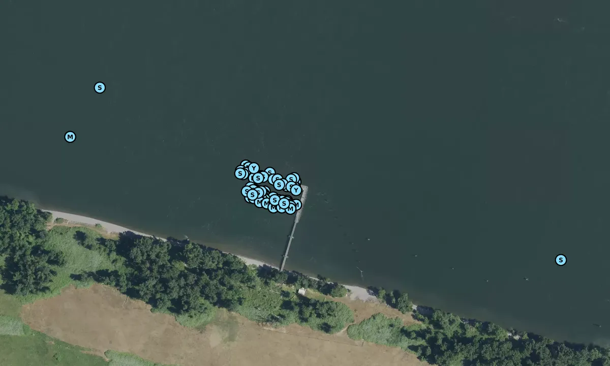 Satelite image of Bartlett Landing