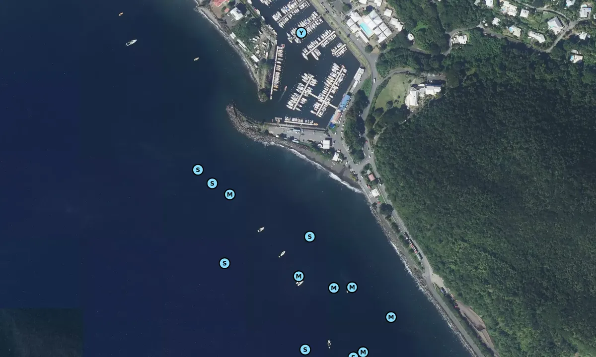 Satelite image of Basse Terre 1