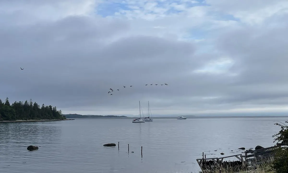 Bastøybukta: {"base": "no", "no": "Bilde tatt fra \u00f8stsiden av stranden mot nordvest. Stranden ryddes og rakes med traktor regelmessig av de innsatte p\u00e5 Bast\u00f8y Fengsel.", "se": "Bild tagen fr\u00e5n \u00f6stra sidan av stranden mot nordv\u00e4st. Stranden st\u00e4das och krattas regelbundet med traktor av de intagna p\u00e5 Bast\u00f8y F\u00e4ngelse.", "en": "Picture taken from the east side of the beach towards the northwest. The beach is regularly cleaned and raked by tractor by the inmates at Bast\u00f8y Prison.", "da": "Billede taget fra \u00f8stsiden af stranden mod nordvest. Stranden ryddes og rives med traktor regelm\u00e6ssigt af de indsatte p\u00e5 Bast\u00f8y F\u00e6ngsel."}