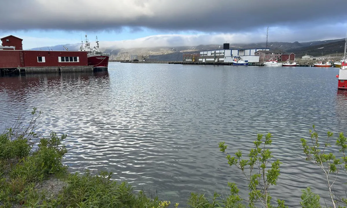 Båtsfjord Havn