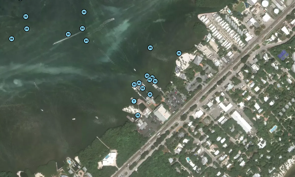 Satelite image of Bayside Marina - Islamorada