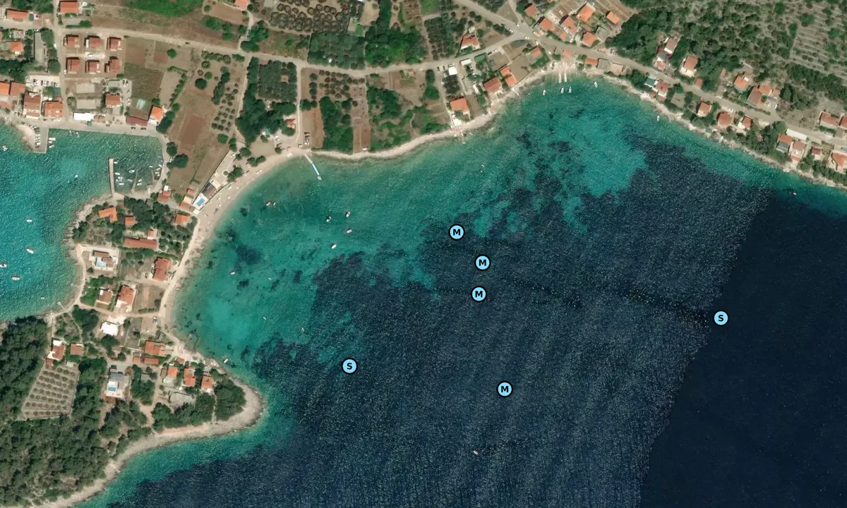 Satelite image of Beach Vela Prižba