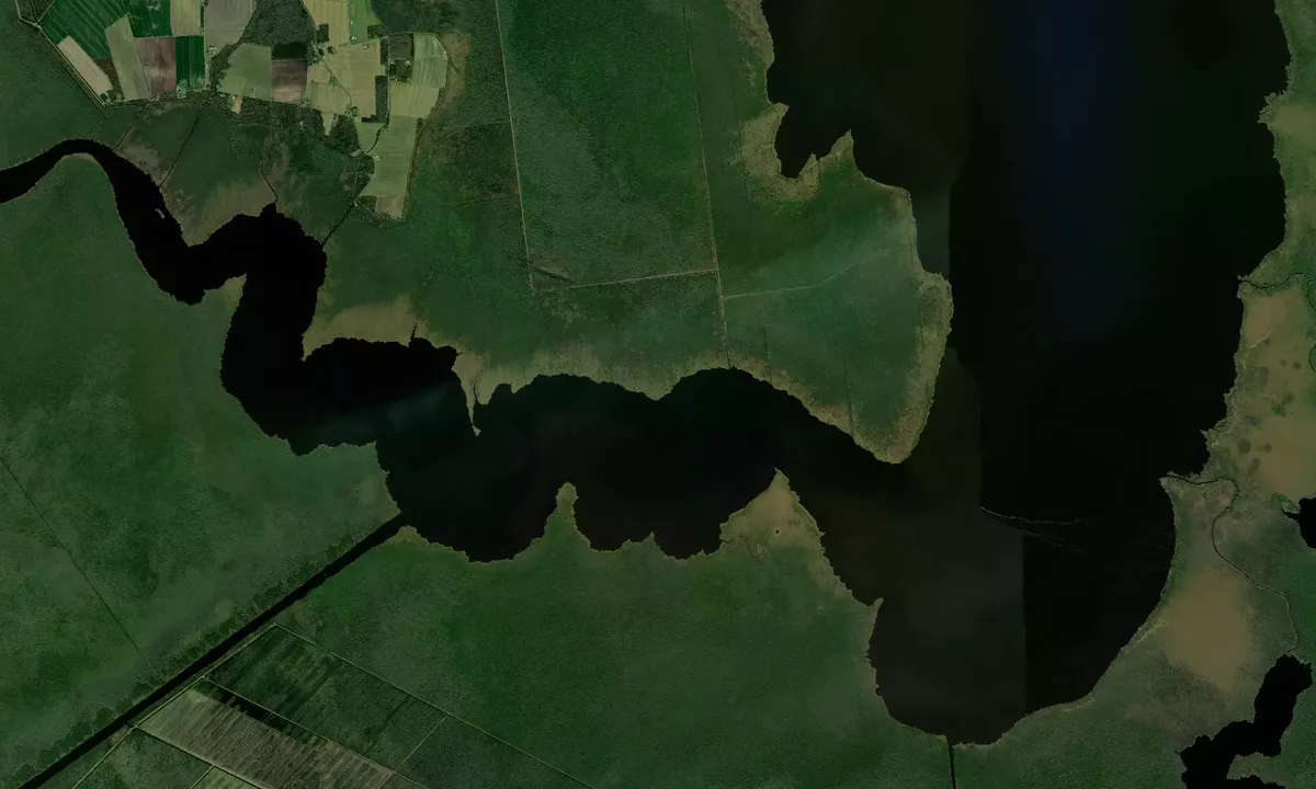 Flyfoto av Bear Point - Tyrrell