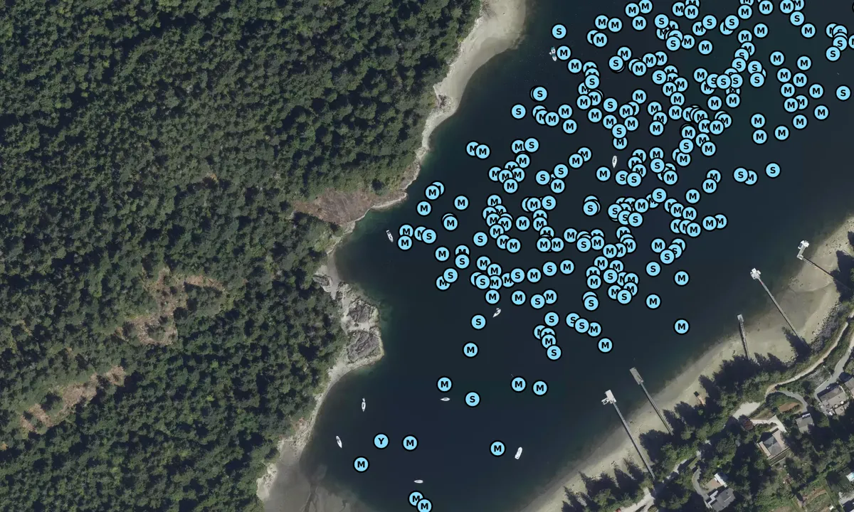 Satelite image of Bedwell Bay