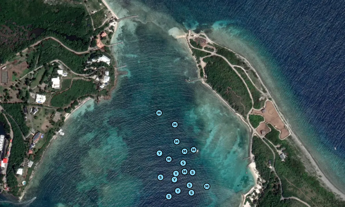 Satelite image of Ber bay