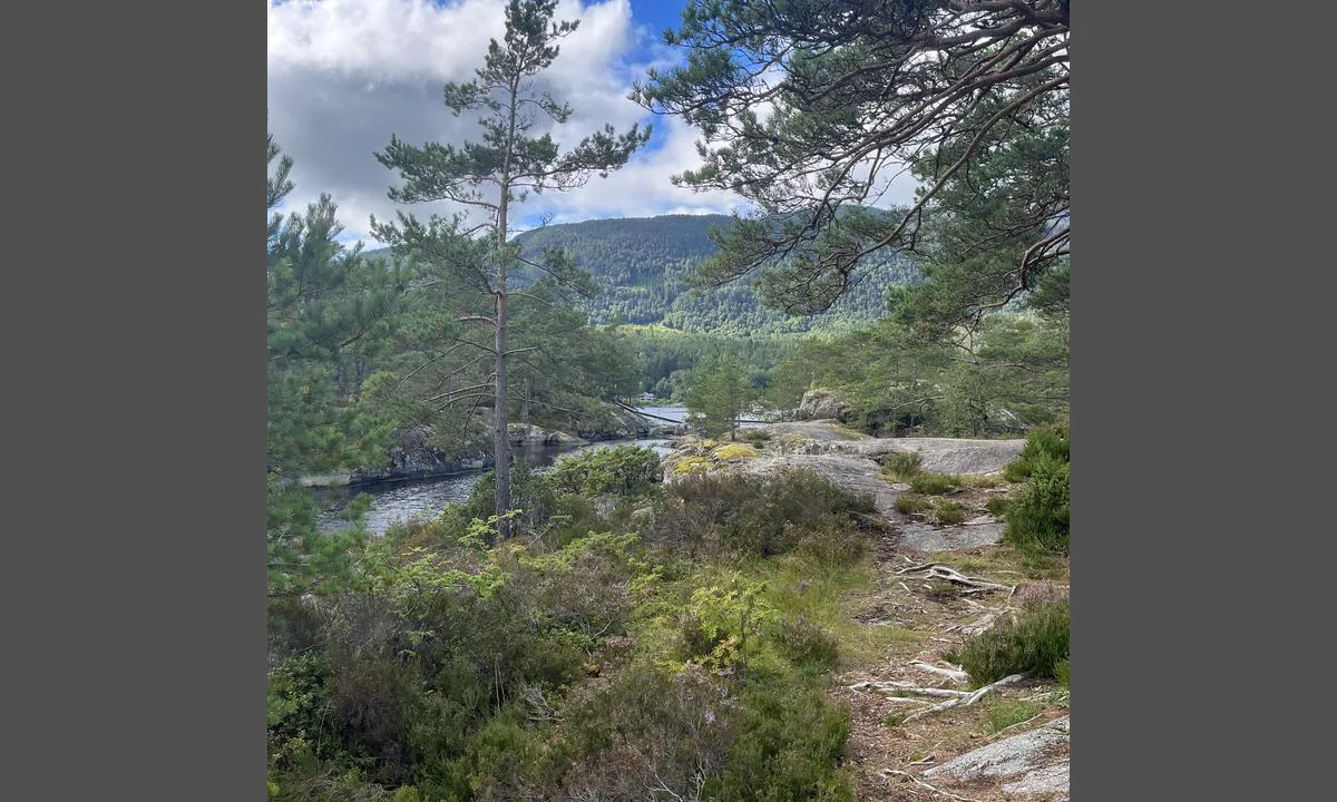 Bergaholmen - Økstrafjorden: {"base": "no", "no": "Fint \u00e5 g\u00e5 tur.", "se": "Fint att g\u00e5 tur.", "en": "Nice for a walk.", "da": "Dejligt at g\u00e5 tur."}
