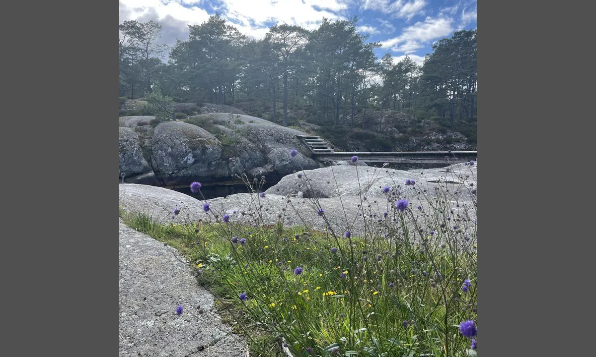 Bergaholmen - Økstrafjorden: {"base": "da", "no": "Mange sm\u00e5 idylliske brygger her.", "se": "M\u00e5nga sm\u00e5 idylliska bryggor h\u00e4r.", "en": "Many small idyllic piers here.", "da": "Mange sm\u00e5 idylliske broer her."}