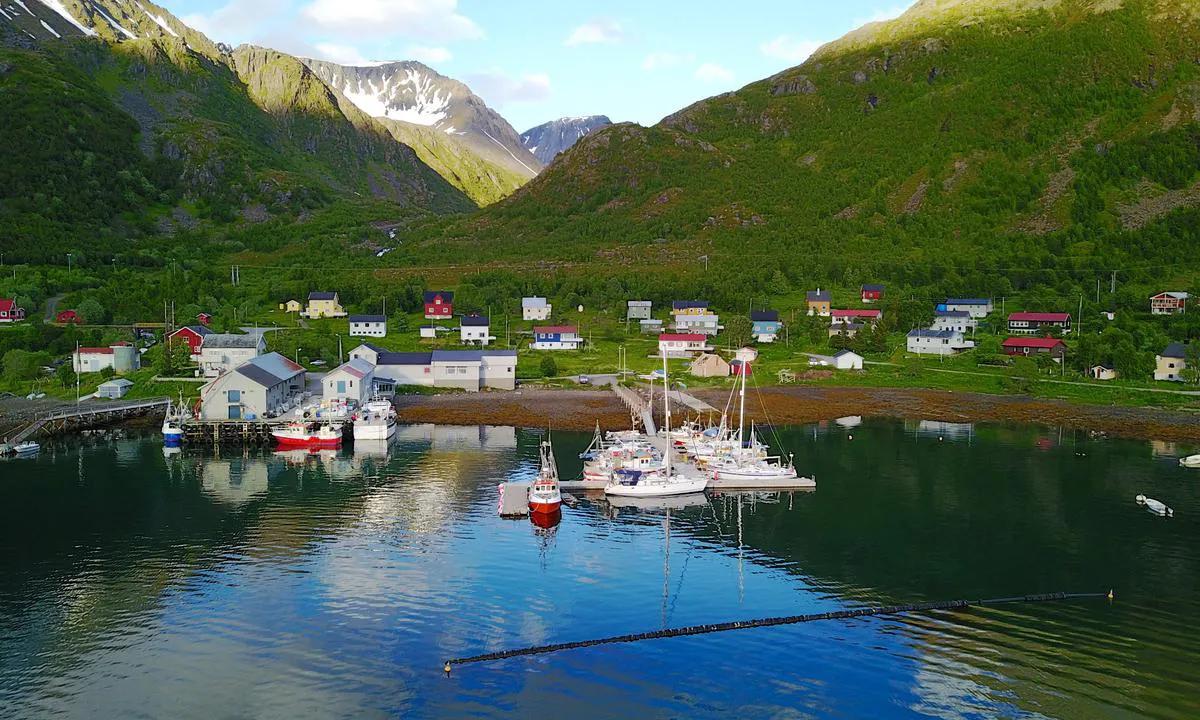 Bergsfjord: Flott gjestehavn men det er ofte «sommerparkerte» sjarker som ligger i opplag på sommeren.