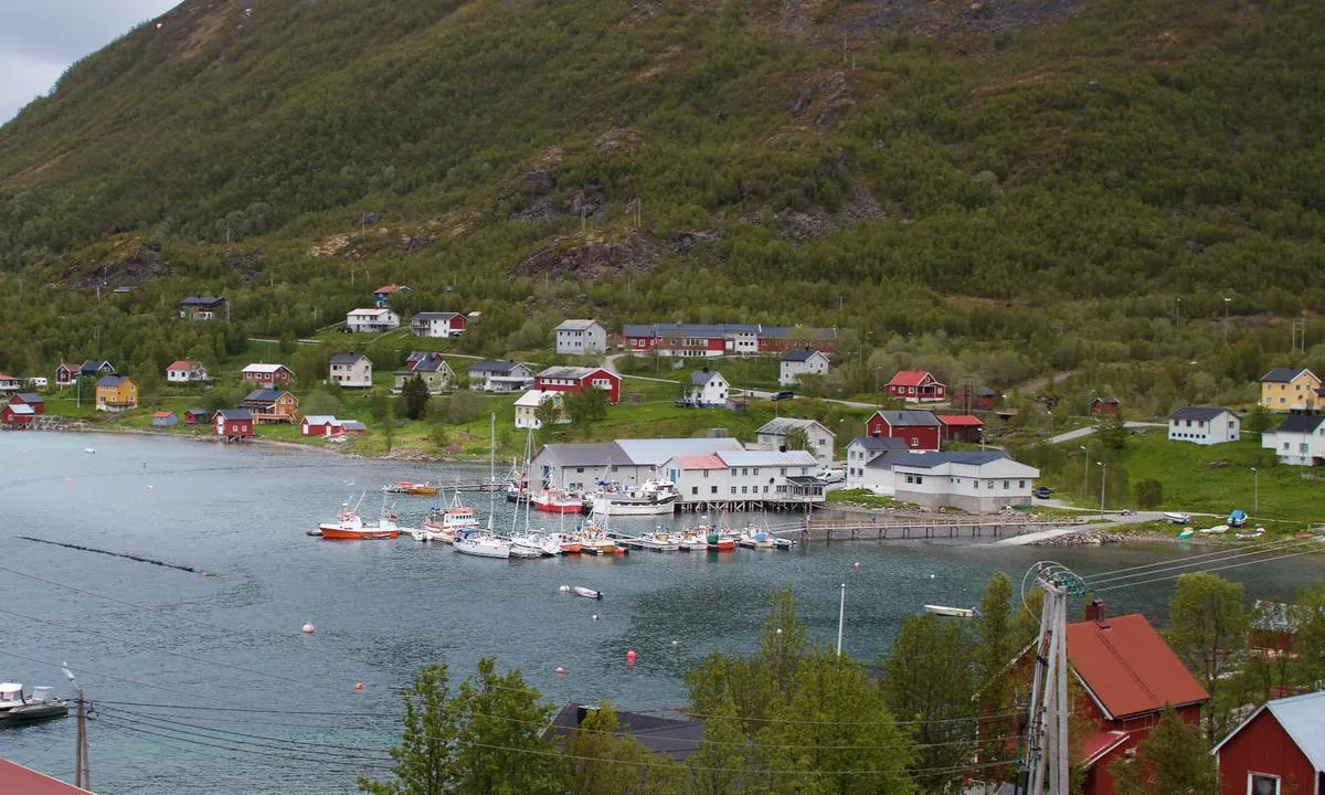 Bergsfjord