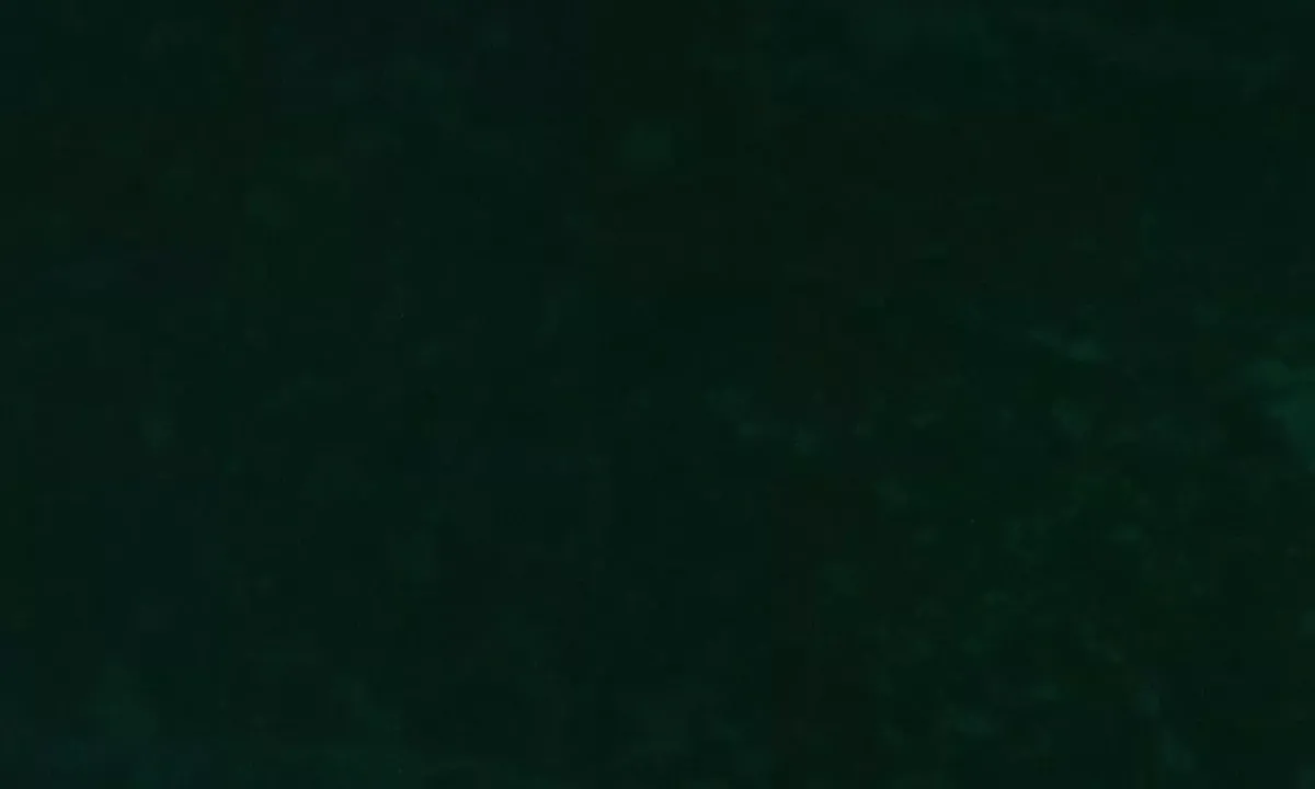Satelite image of Bernard Harbour South
