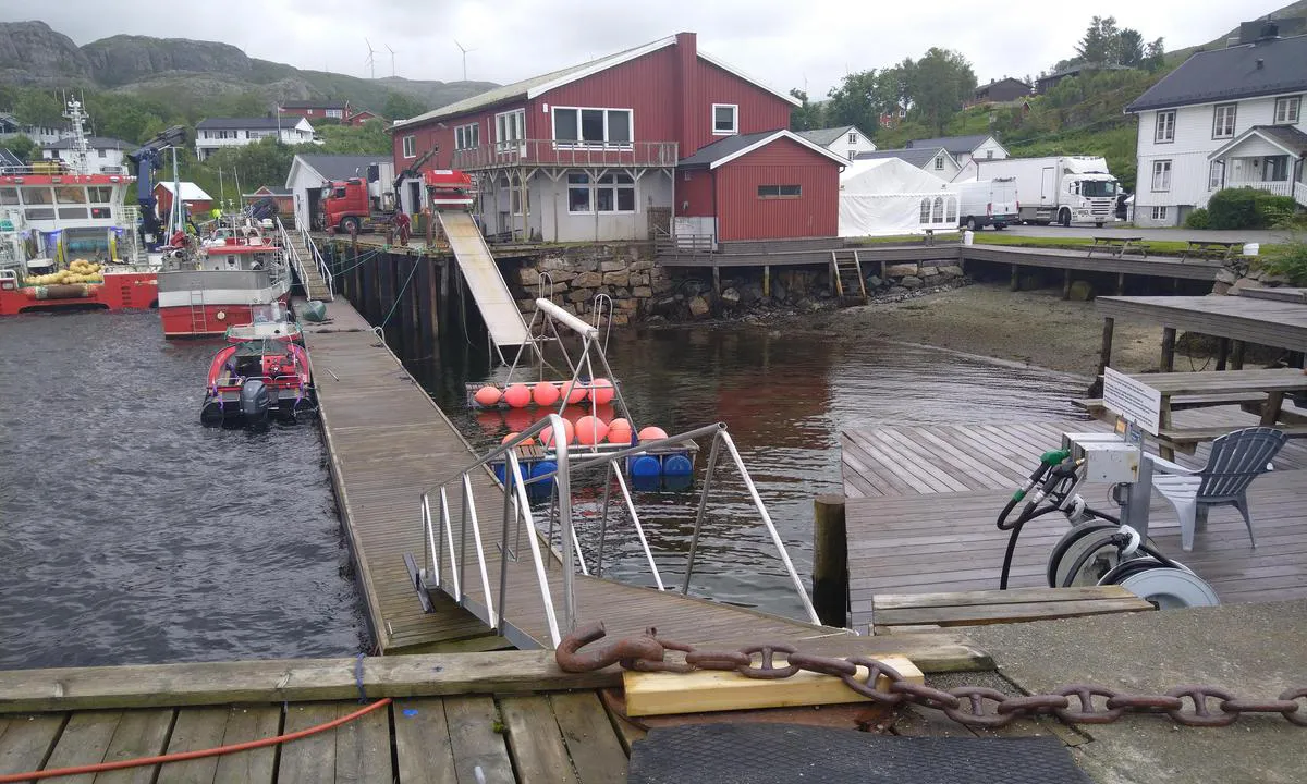 {"base": "no", "no": "Diesel og bensin mat og kro innerst i bukta i Bessaker", "se": "Diesel och bensin mat och krog innerst i viken i Bessaker", "en": "Diesel and gasoline, food and pub at the innermost part of the bay in Bessaker", "da": "Diesel og benzin mad og kro inderst i bugten i Bessaker"}