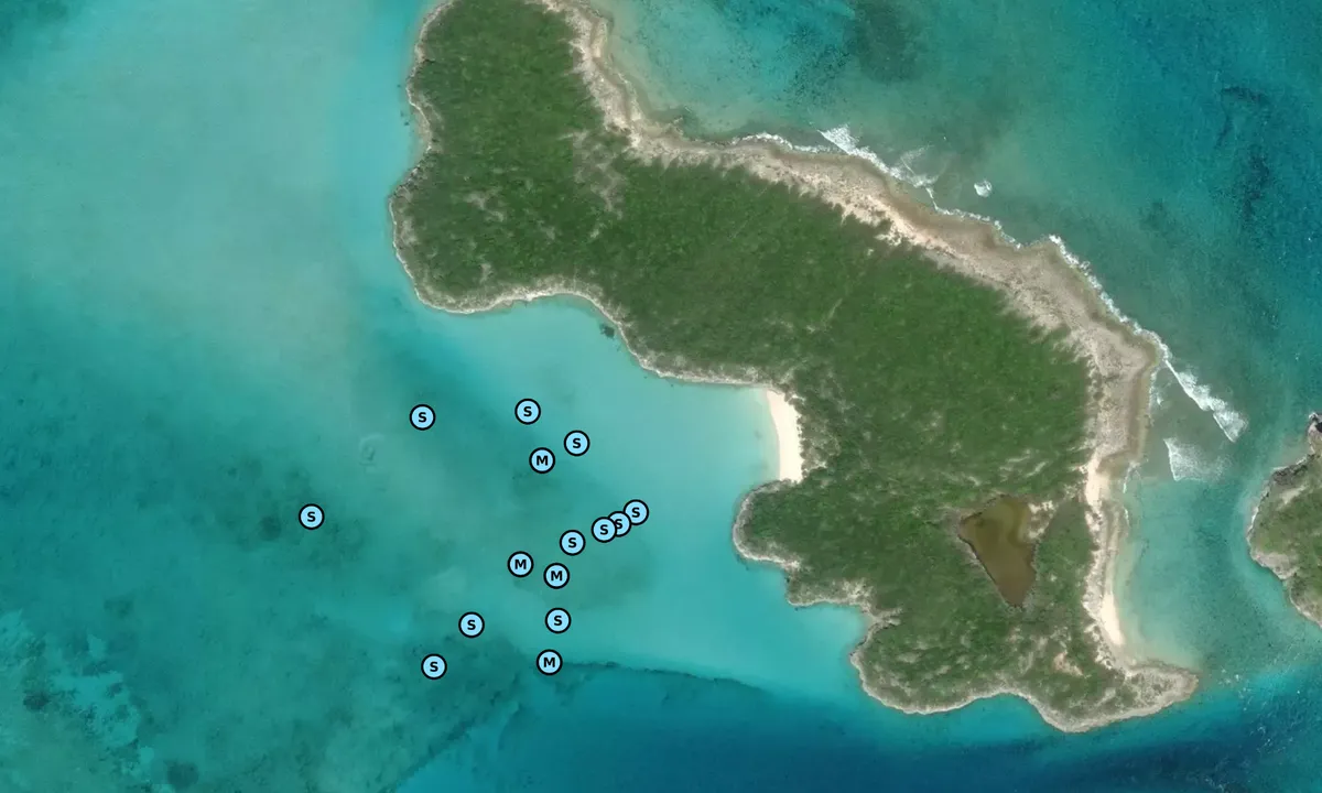 Satelite image of Big Galliot Cay