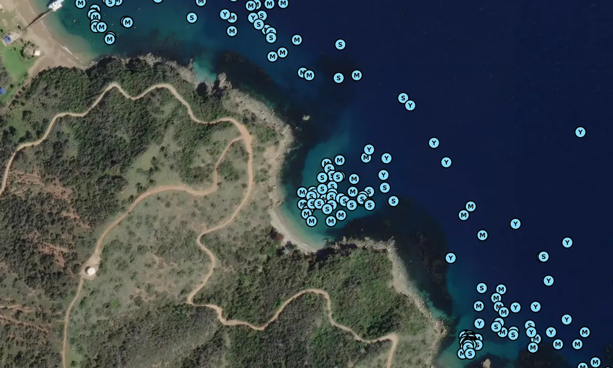 Satelite image of Big Geiger Cove