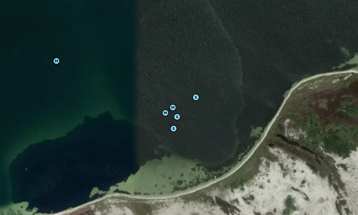 Satelite image of Big Sabine Point - 2